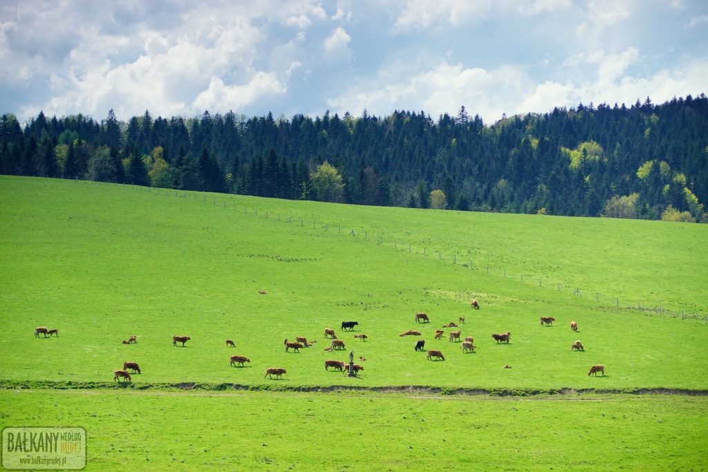 Beskid Niski