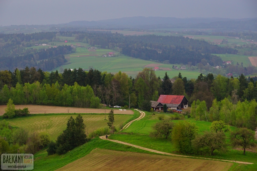 Bruśnik