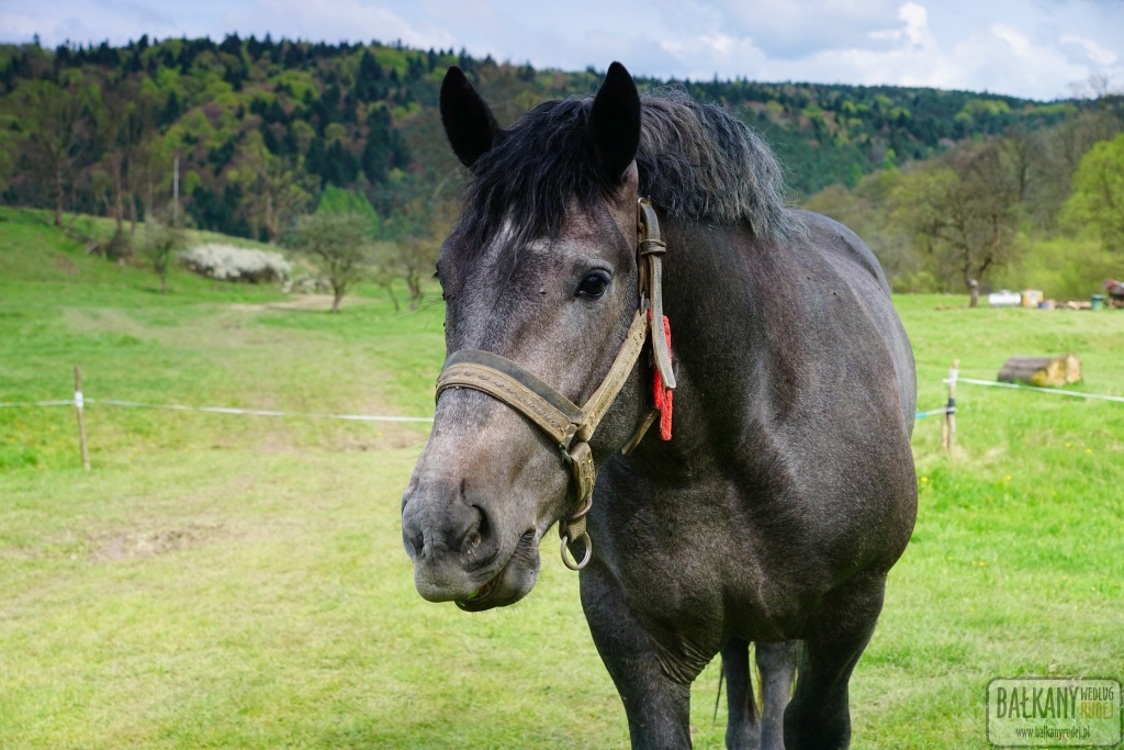 Beskid Niski